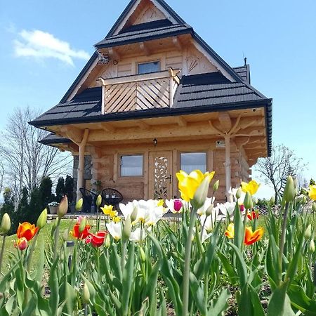 Domek Na Goralska Mode Suche Dış mekan fotoğraf