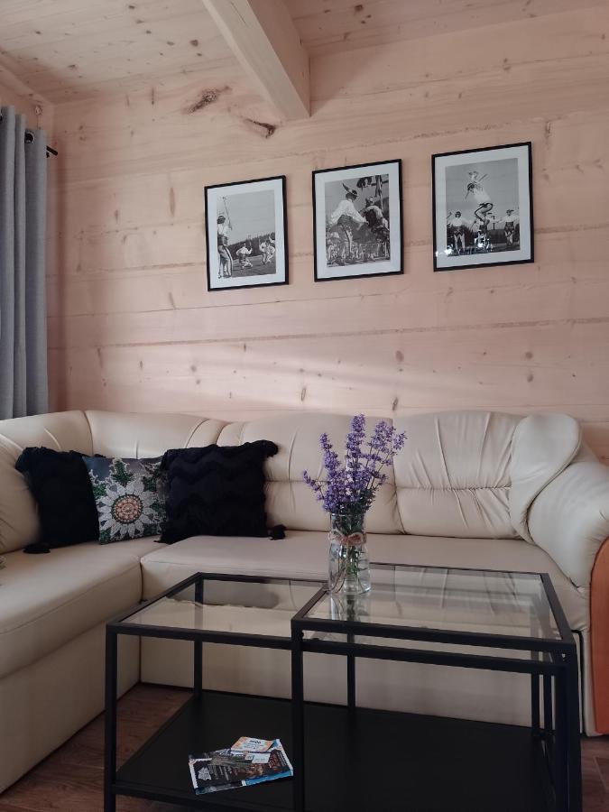 Domek Na Goralska Mode Suche Dış mekan fotoğraf